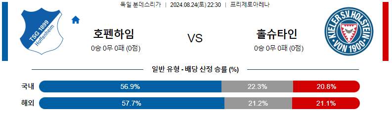 8월 24일 호펜하임 vs 홀슈타인킬